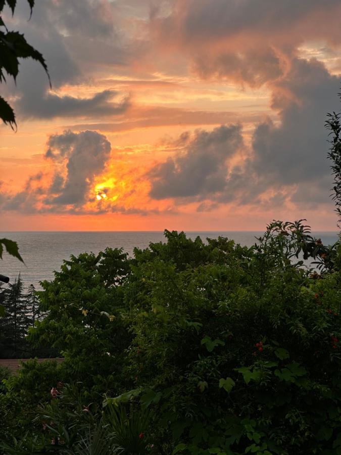 Seaside Apartment_abuseridze Appartement *